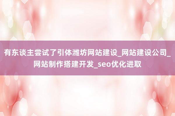 有东谈主尝试了引体潍坊网站建设_网站建设公司_网站制作搭建开发_seo优化进取